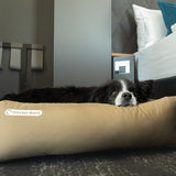 ORTHOPÄDISCHES HUNDEBETT GOLDBRAUN