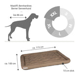 HUNDEKISSEN-LOUNGE GOLDBRAUN