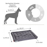 HUNDEKISSEN-LOUNGE GRAU