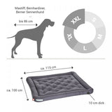 HUNDEKISSEN-LOUNGE GRAU